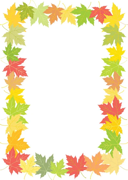 Frame of leaves — Stock Vector