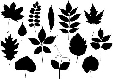 Silhouettes of leaves clipart