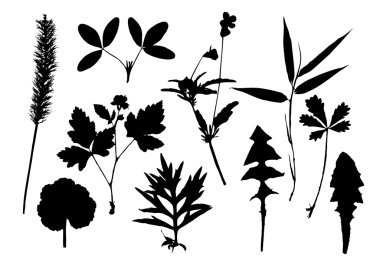 Silhouettes of leaves clipart