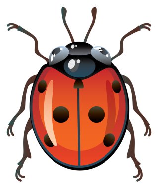 Ladybug clipart