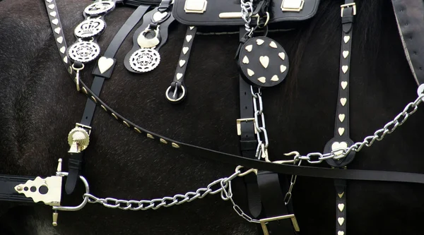 Horse Accessories — Stock Photo, Image