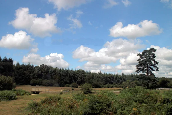 Stock image UK Countryside