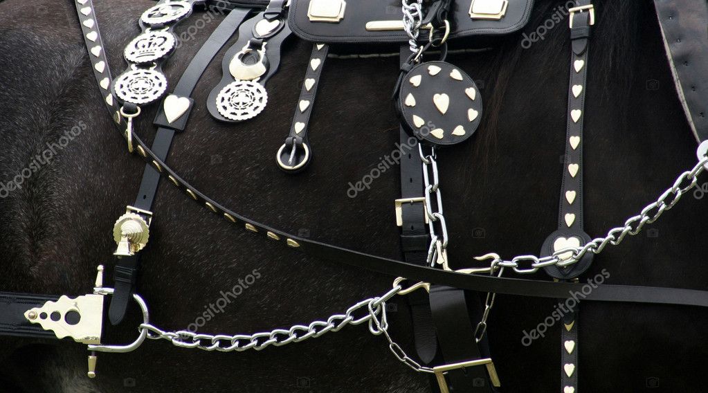 Horse Accessories — Stock Photo © quackersnaps 1388483