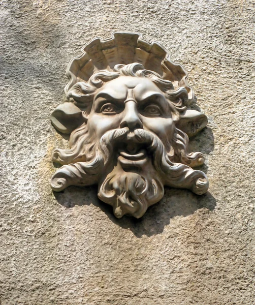 stock image Face on a Wall