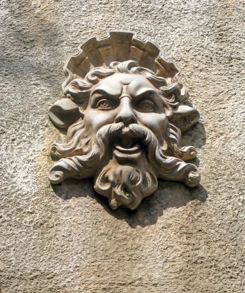 Stock image Face on a Wall