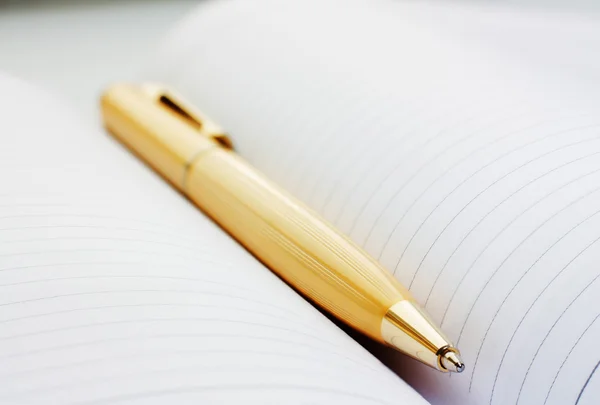 stock image Pen and book