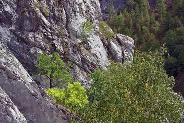 stock image Mountain landscape