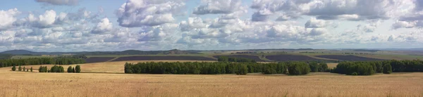 stock image Steppe landscape