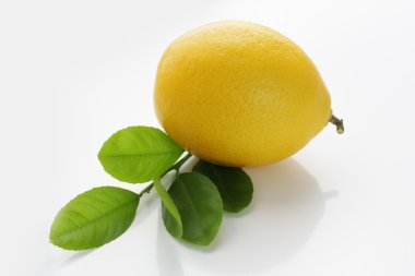 limon