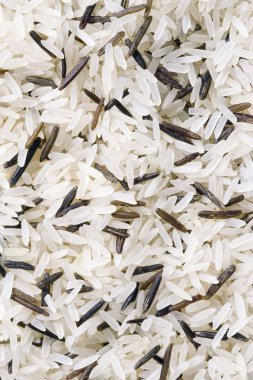 White and wild rice clipart