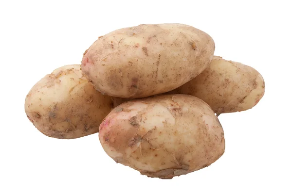 Potato crop — Stock Photo, Image