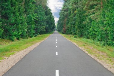 Road in forest clipart