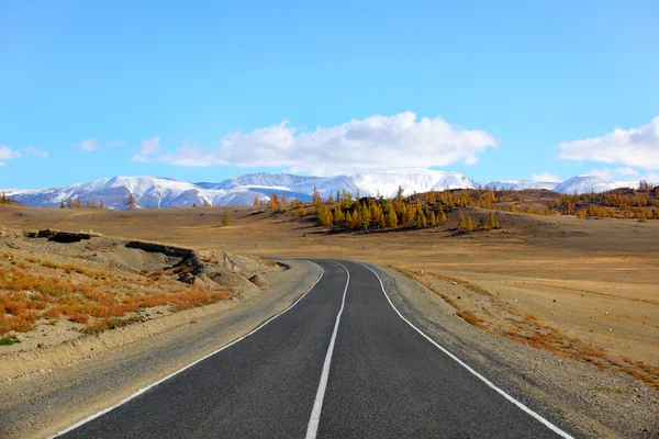 Altaj landschap — Stockfoto
