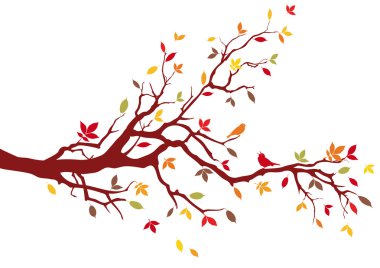 Autumn tree, vector clipart