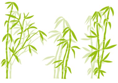 Bamboo, vector clipart