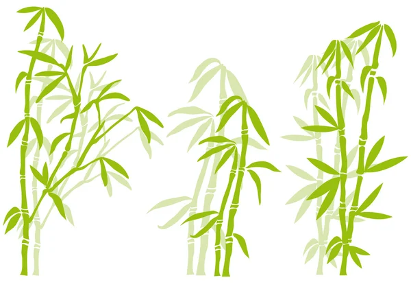 Bambú, vector — Archivo Imágenes Vectoriales
