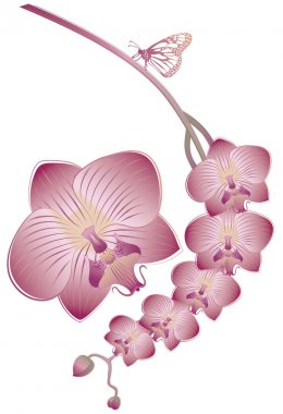 Orchid with butterfly clipart