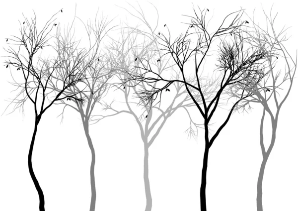 Dimmig skog, vektor — Stock vektor