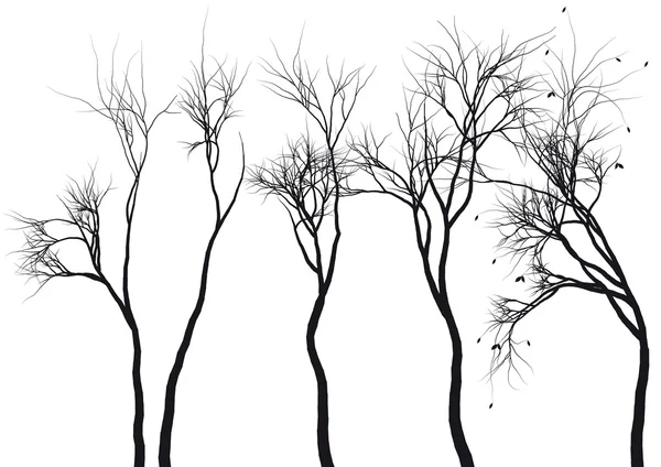 Ağaç silüetler, vektör — Stok Vektör