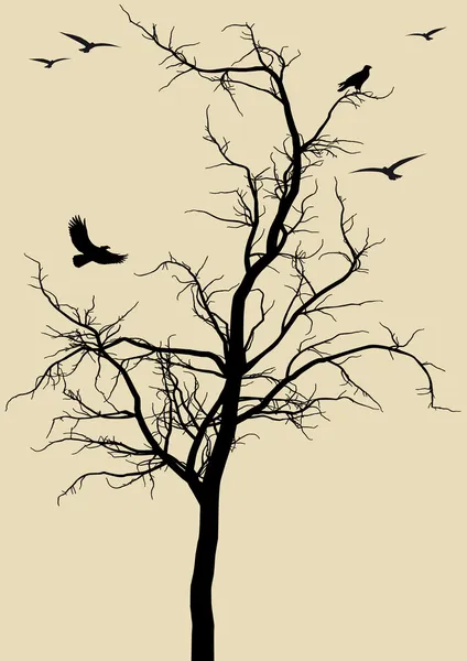 Träd med fåglar, vektorgrafik — Stock vektor
