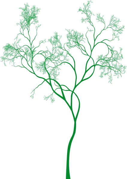 Yeşil ağaç, vektör — Stok Vektör