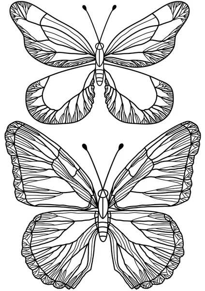 Hermosas mariposas, vector — Vector de stock