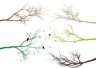 Tree branches, vector clipart