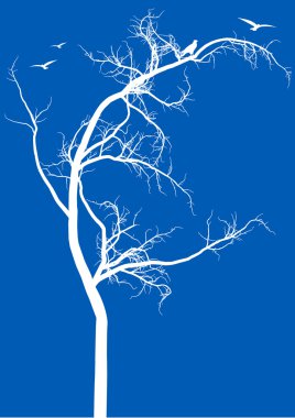 Tree with birds, vector clipart