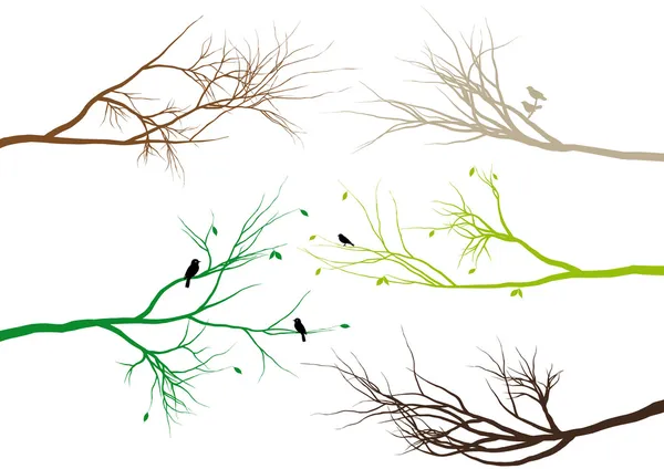 Branches d'arbres, vecteur — Image vectorielle