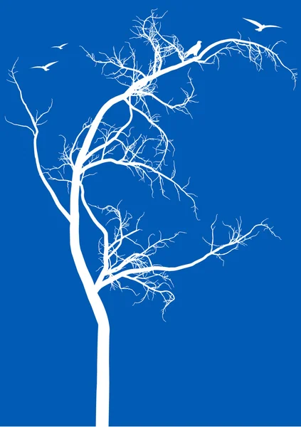 Baum mit Vögeln, Vektor — Stockvektor