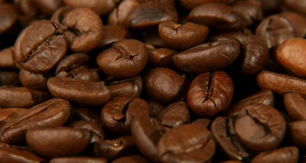 stock image Coffee