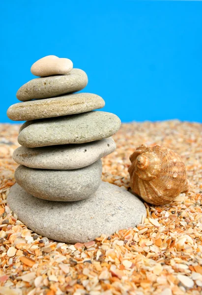 Stones and cockleshell — Stock Photo, Image