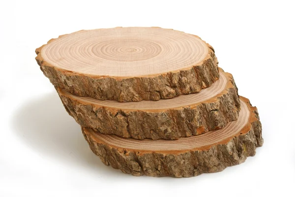 Secções transversais de tronco de árvore — Fotografia de Stock