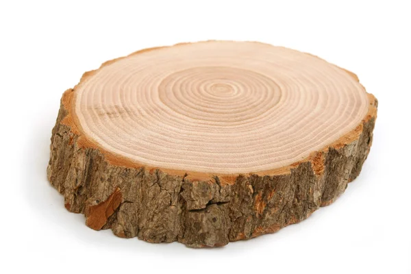 stock image Cross section of tree trunk