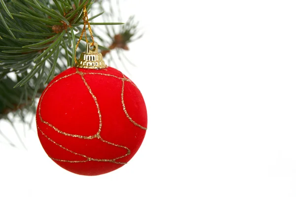 Weihnachtskugel auf Tannenzweig — Stockfoto