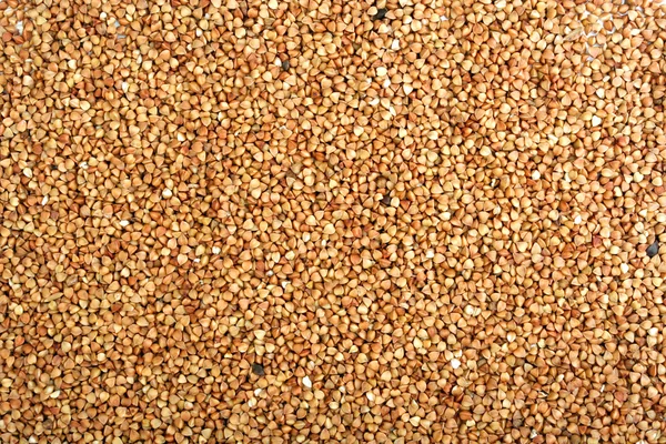 stock image Buckwheat