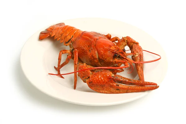 Peixe-lagosta cozido Fotos De Bancos De Imagens Sem Royalties