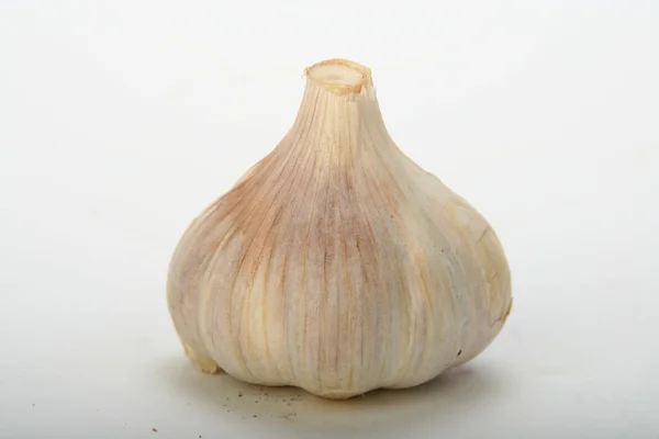 Stock image Garlic