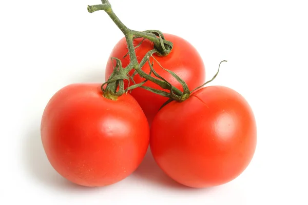 Tomato cherry on branch — Stock Photo, Image