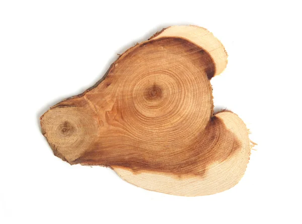 Сечение ствола дерева — стоковое фото