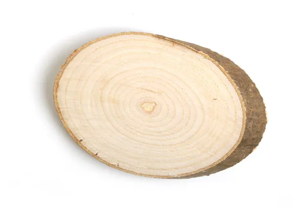 Sección transversal del tronco del árbol —  Fotos de Stock