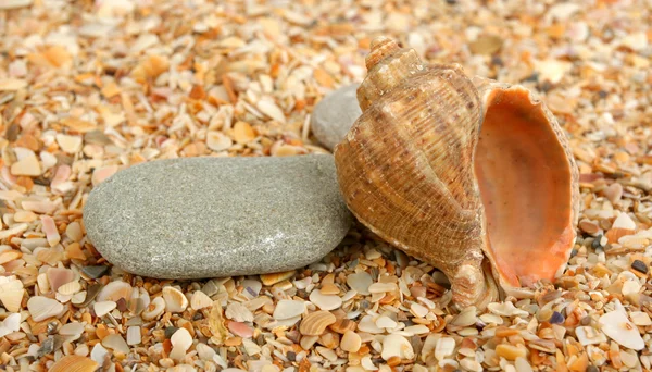 Two stones and cockleshell on sand — Stock Photo, Image