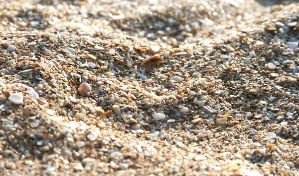Sea sand from cockle-shells — Stock Photo, Image