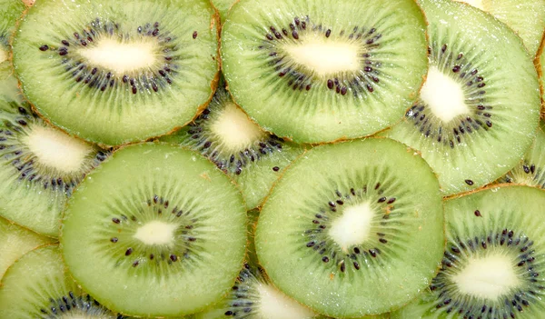 stock image Kiwi