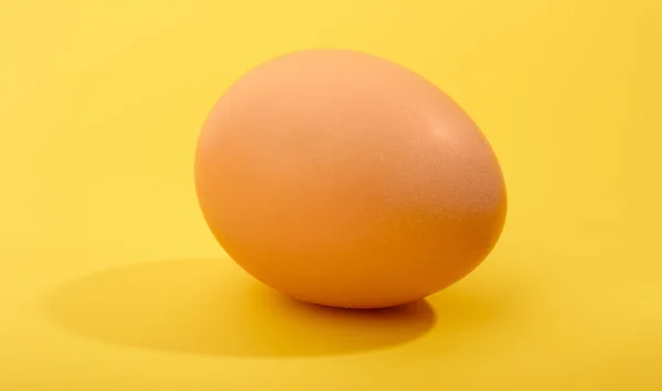 stock image One egg