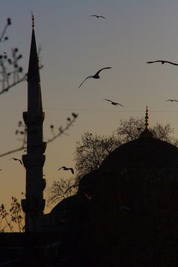 View of mosque at night, Istanbul clipart