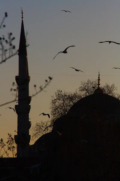 Vista da mesquita à noite, Istambul — Fotografia de Stock