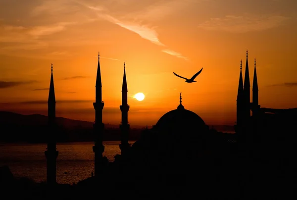 Utsikt över sultanahmet natt, istanbul Stockbild