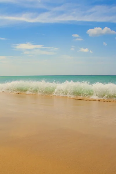 Wild strand van zee — Stockfoto