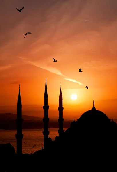 伊斯坦布尔的夜宣礼塔 — 图库照片